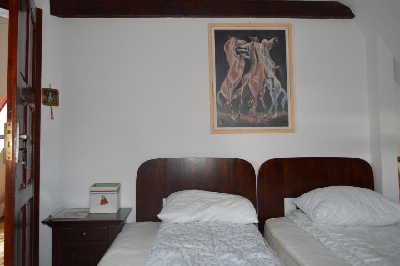 La Mos Pavel Hotel Noslac Buitenkant foto