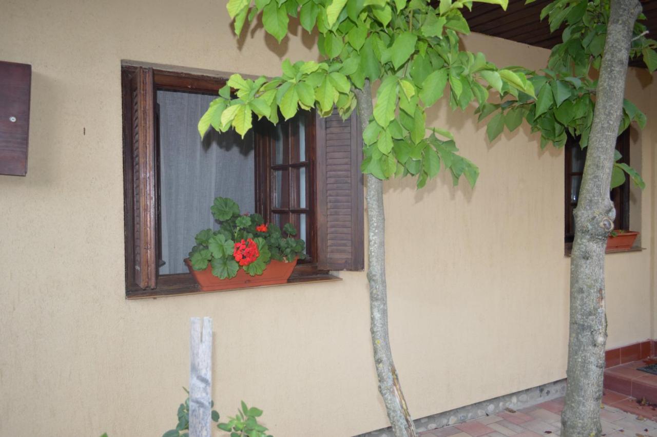 La Mos Pavel Hotel Noslac Buitenkant foto