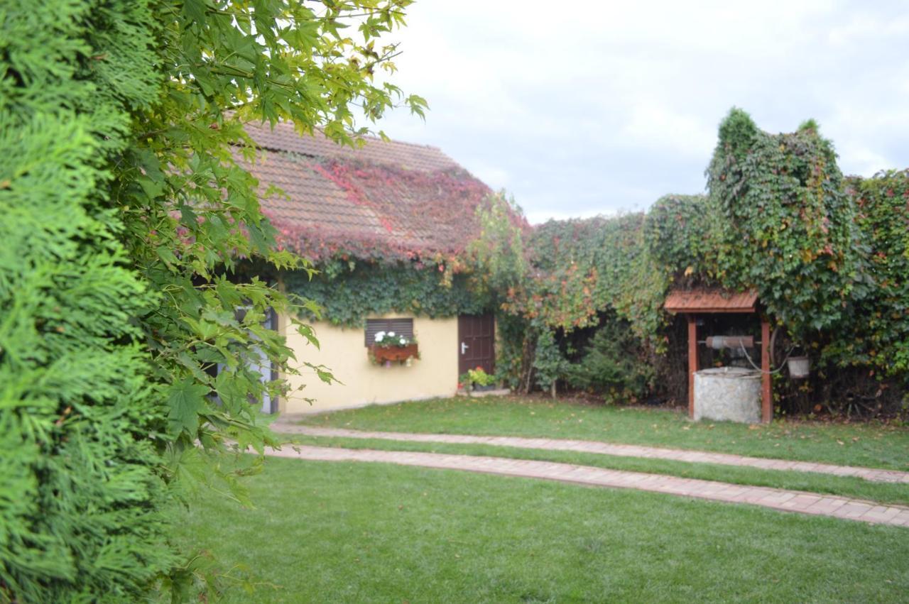 La Mos Pavel Hotel Noslac Buitenkant foto