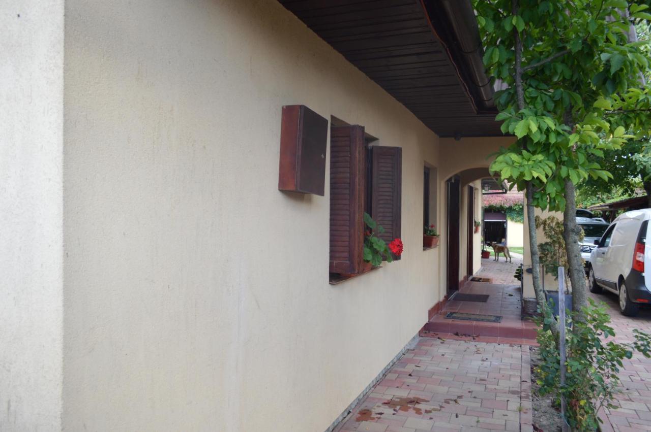 La Mos Pavel Hotel Noslac Buitenkant foto