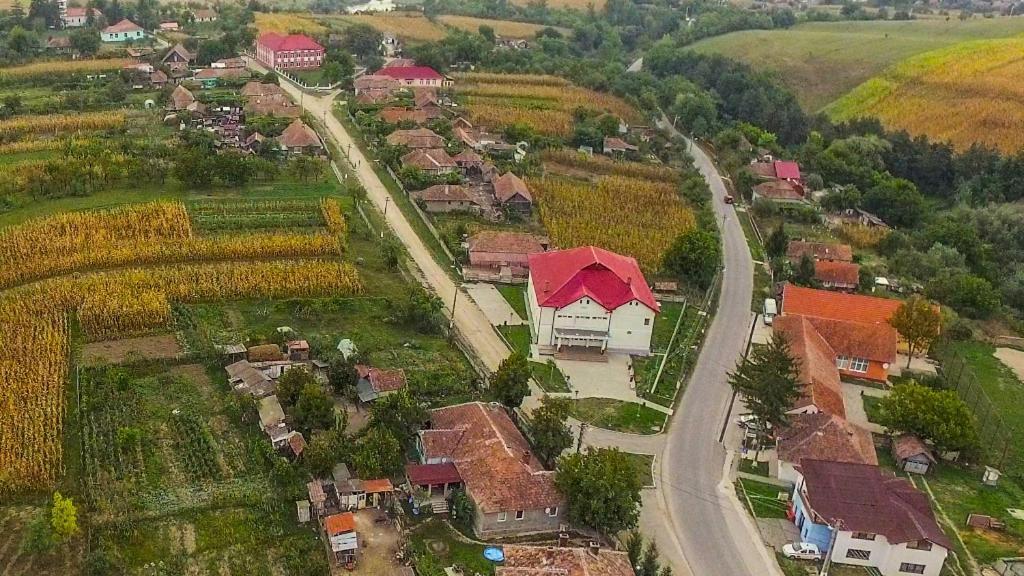 La Mos Pavel Hotel Noslac Buitenkant foto