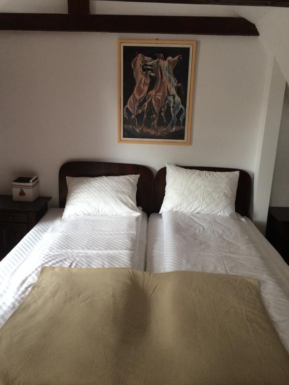 La Mos Pavel Hotel Noslac Buitenkant foto